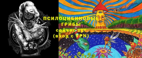 ешки Абаза