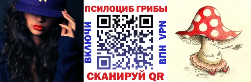 мориарти наркотические препараты  Монино  Галлюциногенные грибы мицелий 